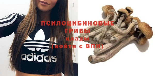 spice Нефтекумск