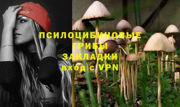 дурь Нефтегорск