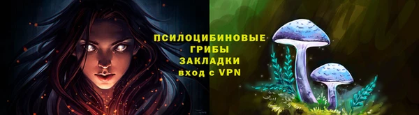 дурь Нефтегорск