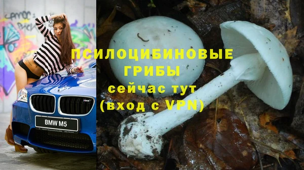 дурь Нефтегорск