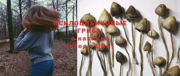 spice Нефтекумск