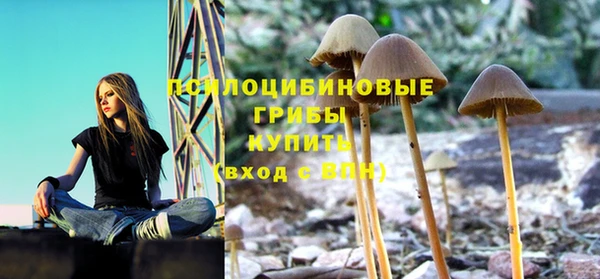 дурь Нефтегорск