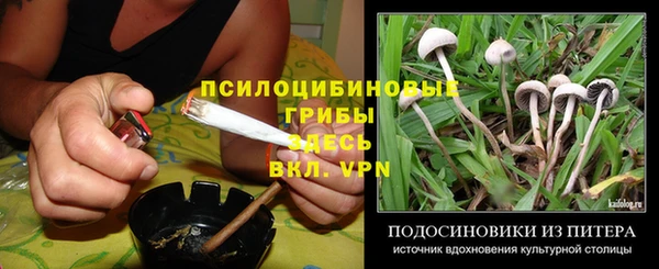 дурь Нефтегорск