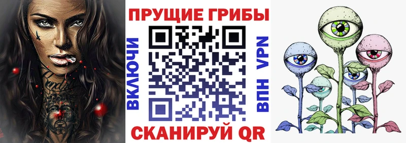 Купить закладки  Уяр  Псилоцибиновые грибы Cubensis 